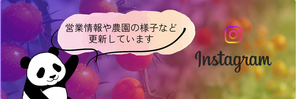 インスタグラム用バナー