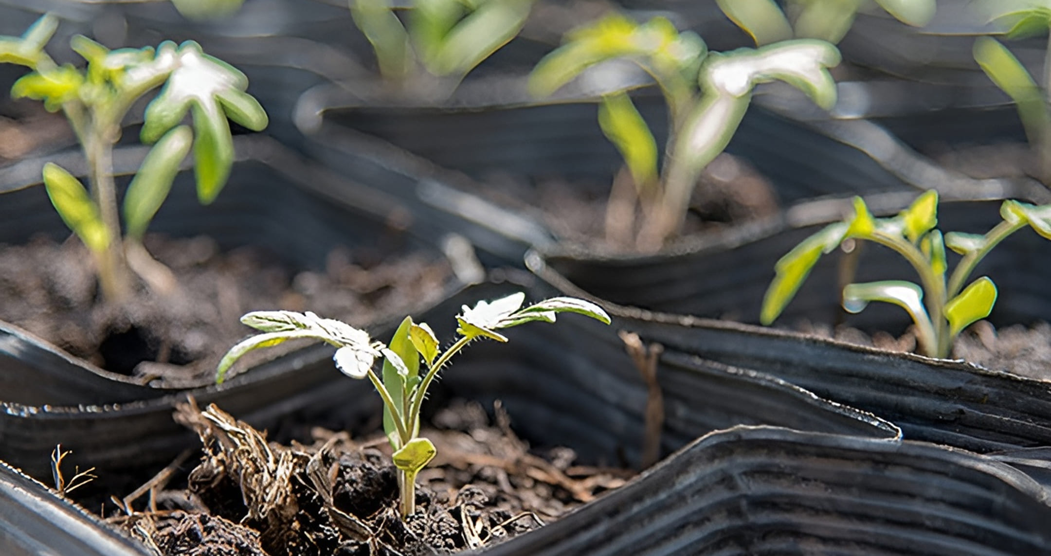 メインスライダー画像