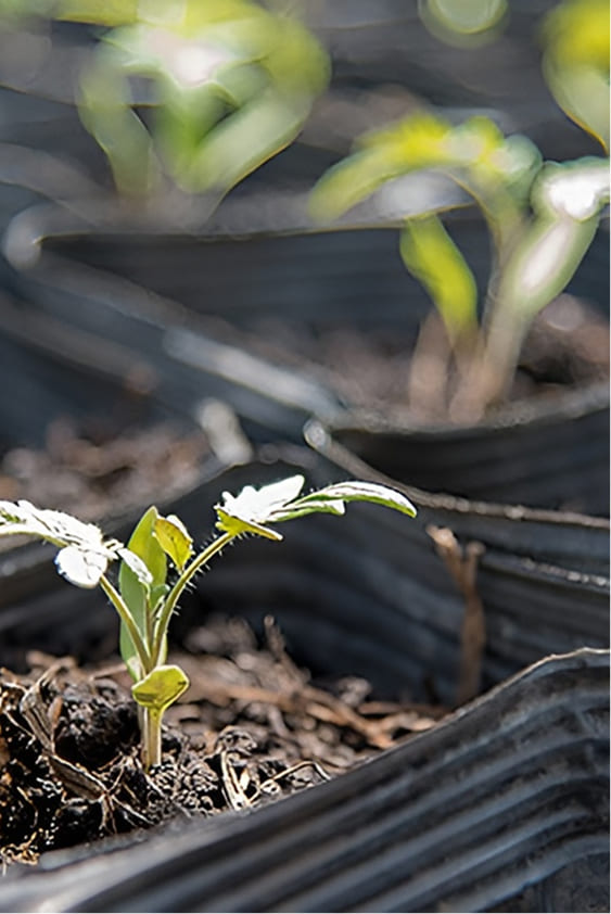 メインスライダー画像